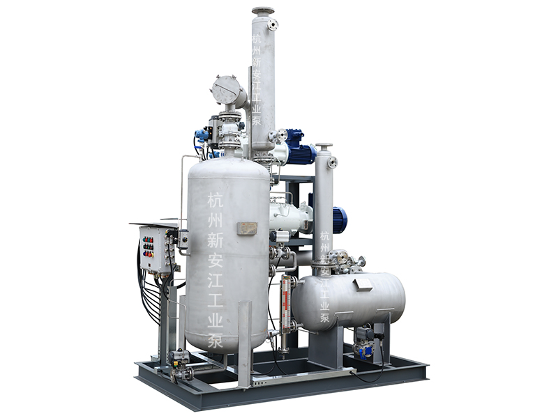 集成化羅茨螺桿真空系統(tǒng)，高效穩(wěn)定，勝任復(fù)雜苛刻工藝-杭州新安江工業(yè)泵有限公司